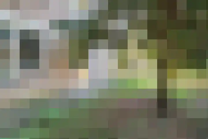 Wamelplein 80 Amsterdam thumbnail 20