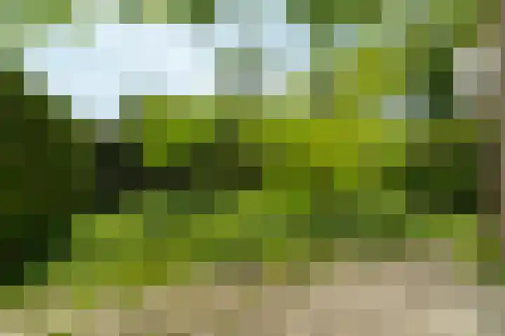 Wamelplein 81 Amsterdam thumbnail 10