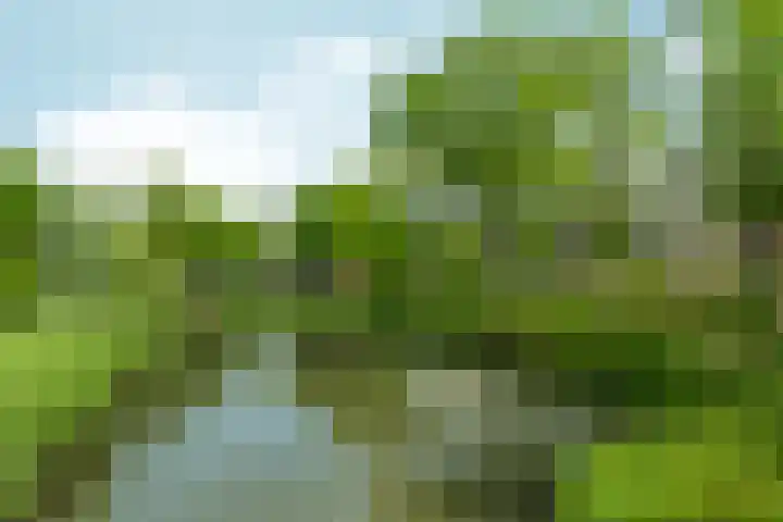 Wamelplein 81 Amsterdam thumbnail 26