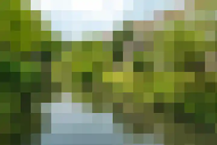 Wamelplein 81 Amsterdam thumbnail 27