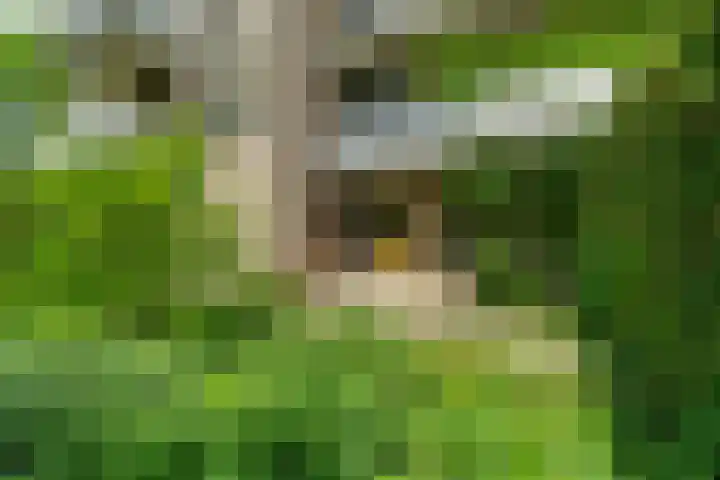 Wamelplein 81 Amsterdam thumbnail 8