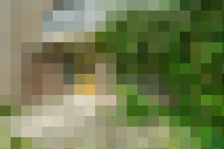 Wamelplein 81 Amsterdam thumbnail 9