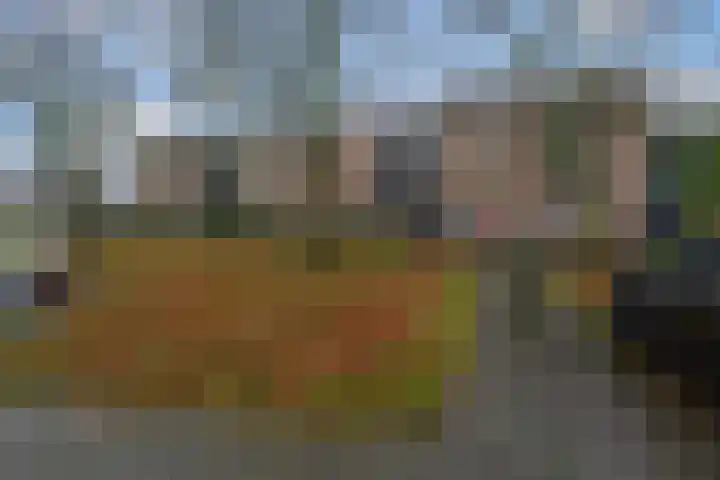 Wamelstraat 127 Amsterdam thumbnail 24