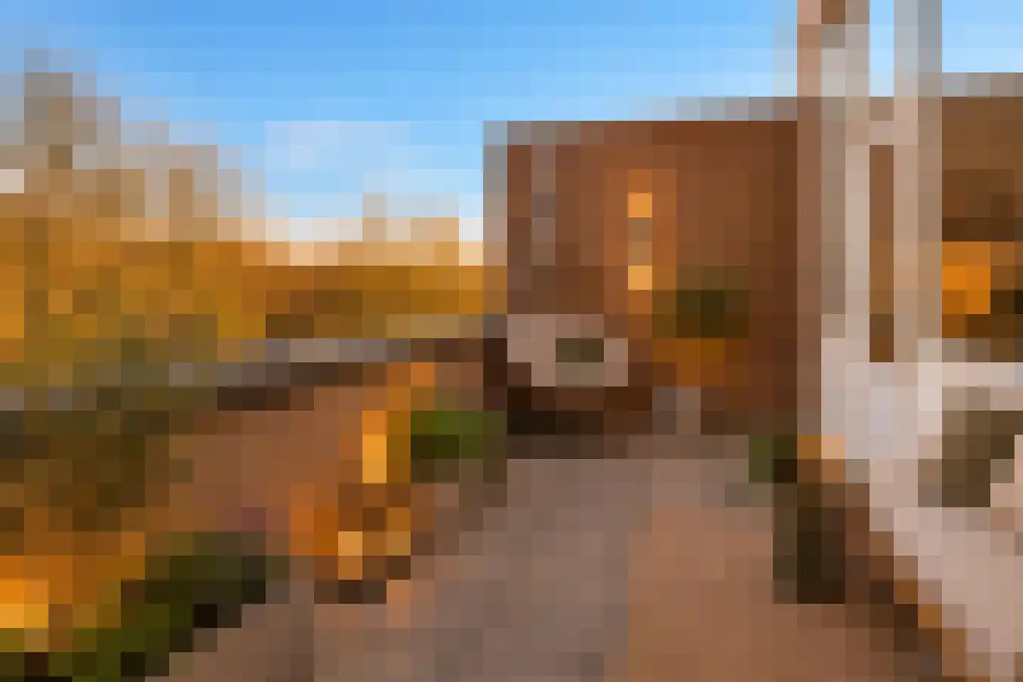 Wamelstraat 135 Amsterdam thumbnail 4