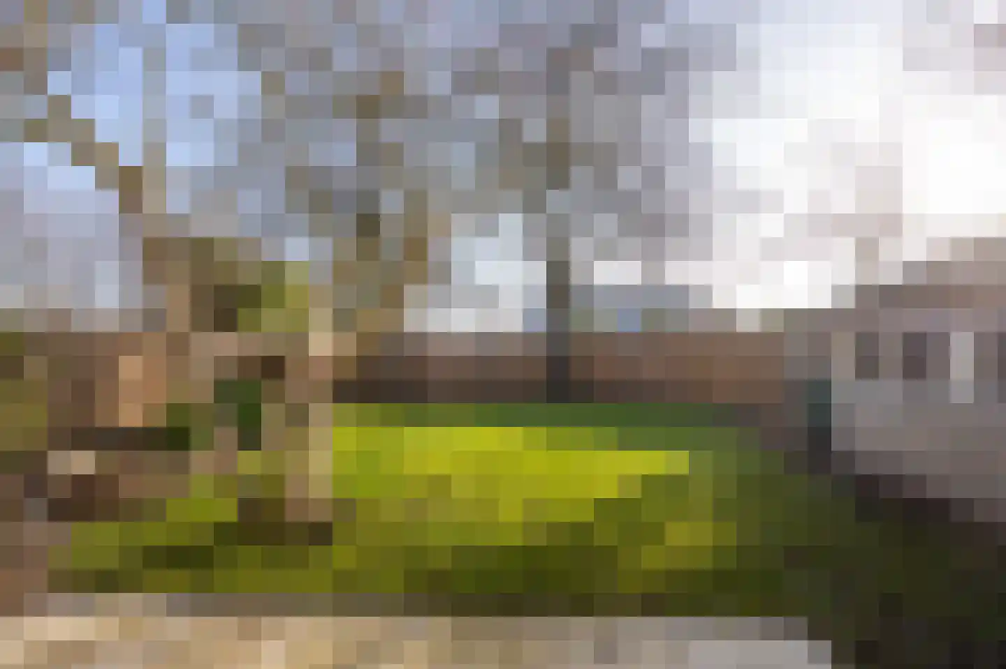 Wandelakker 70 Breda thumbnail 40