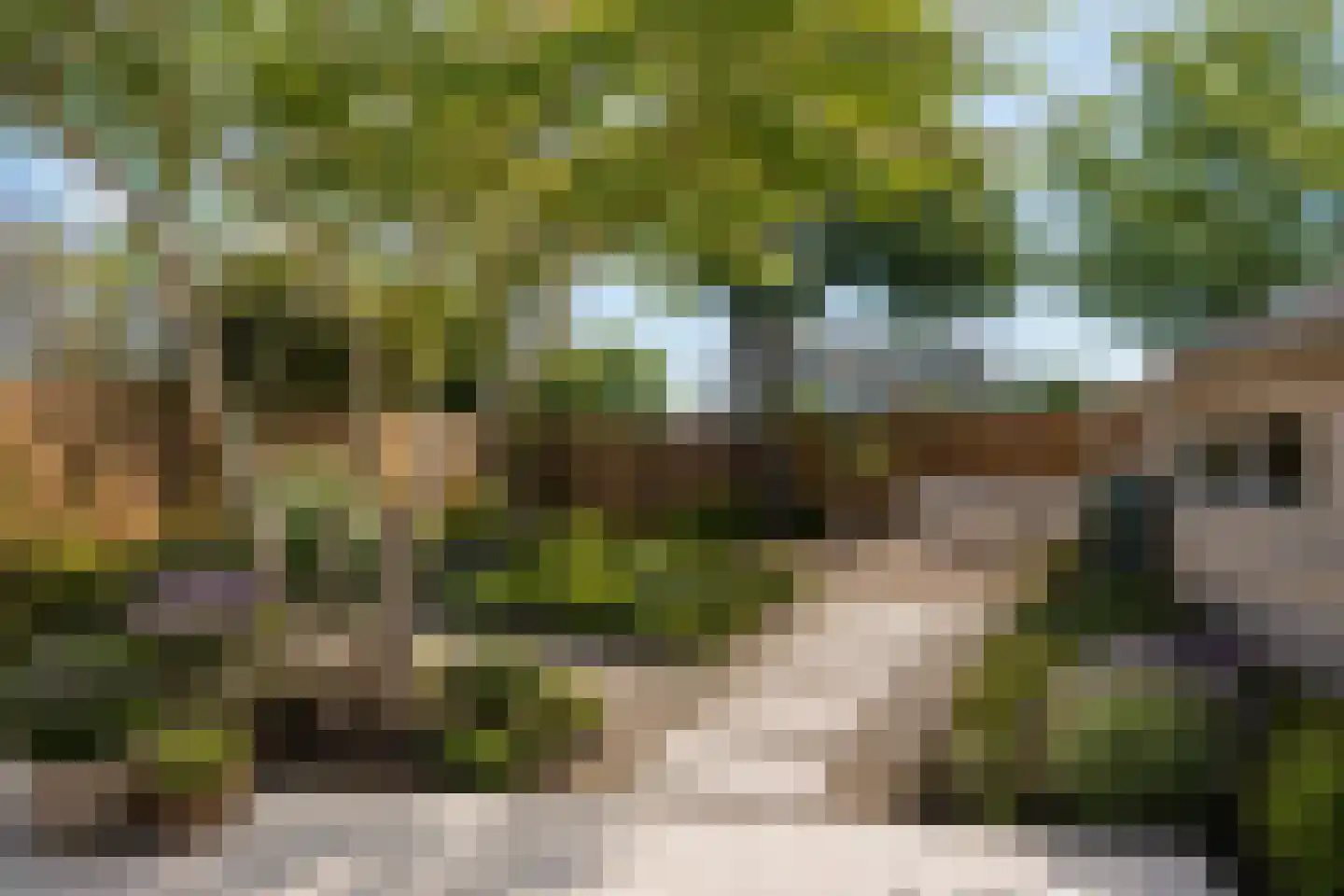 Wandelakker 70 Breda thumbnail 41