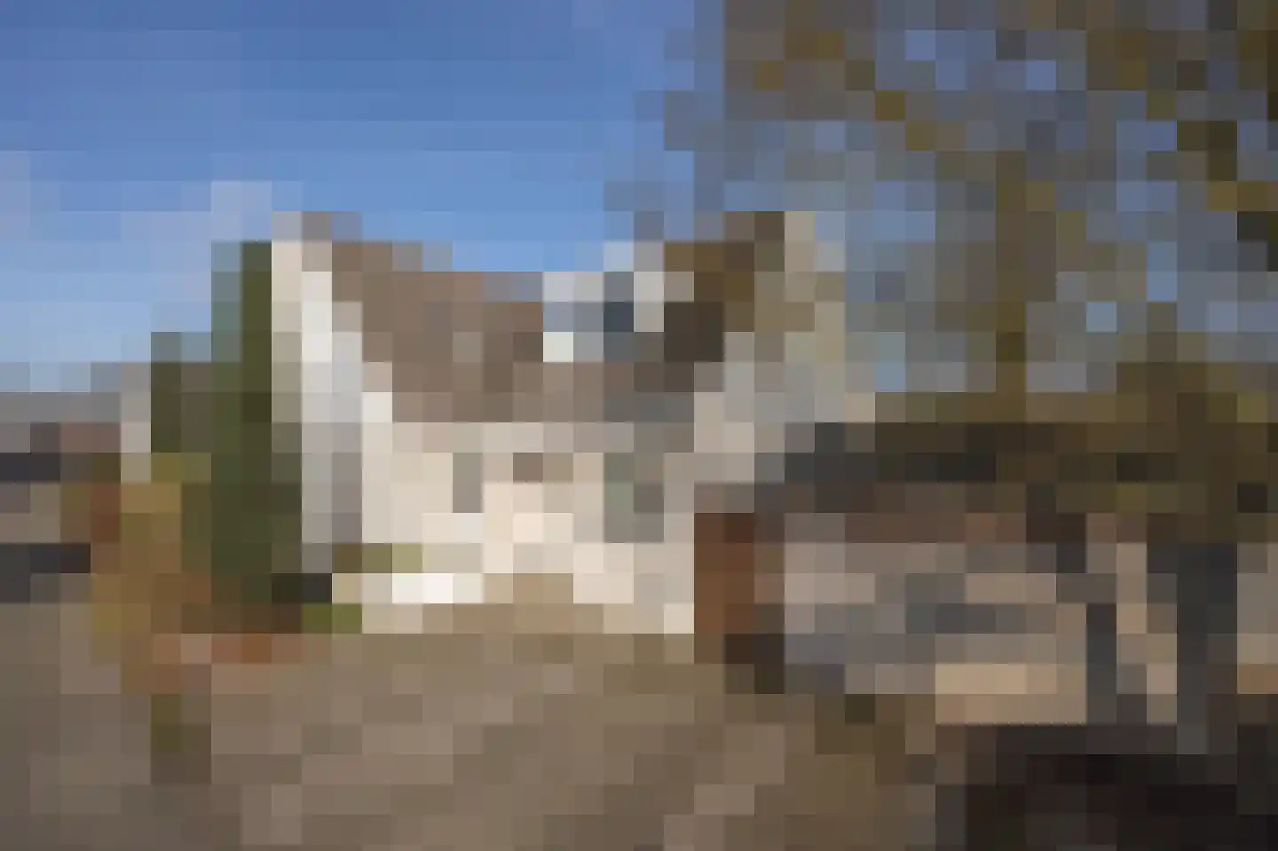 Wandelakker 70 Breda thumbnail 49