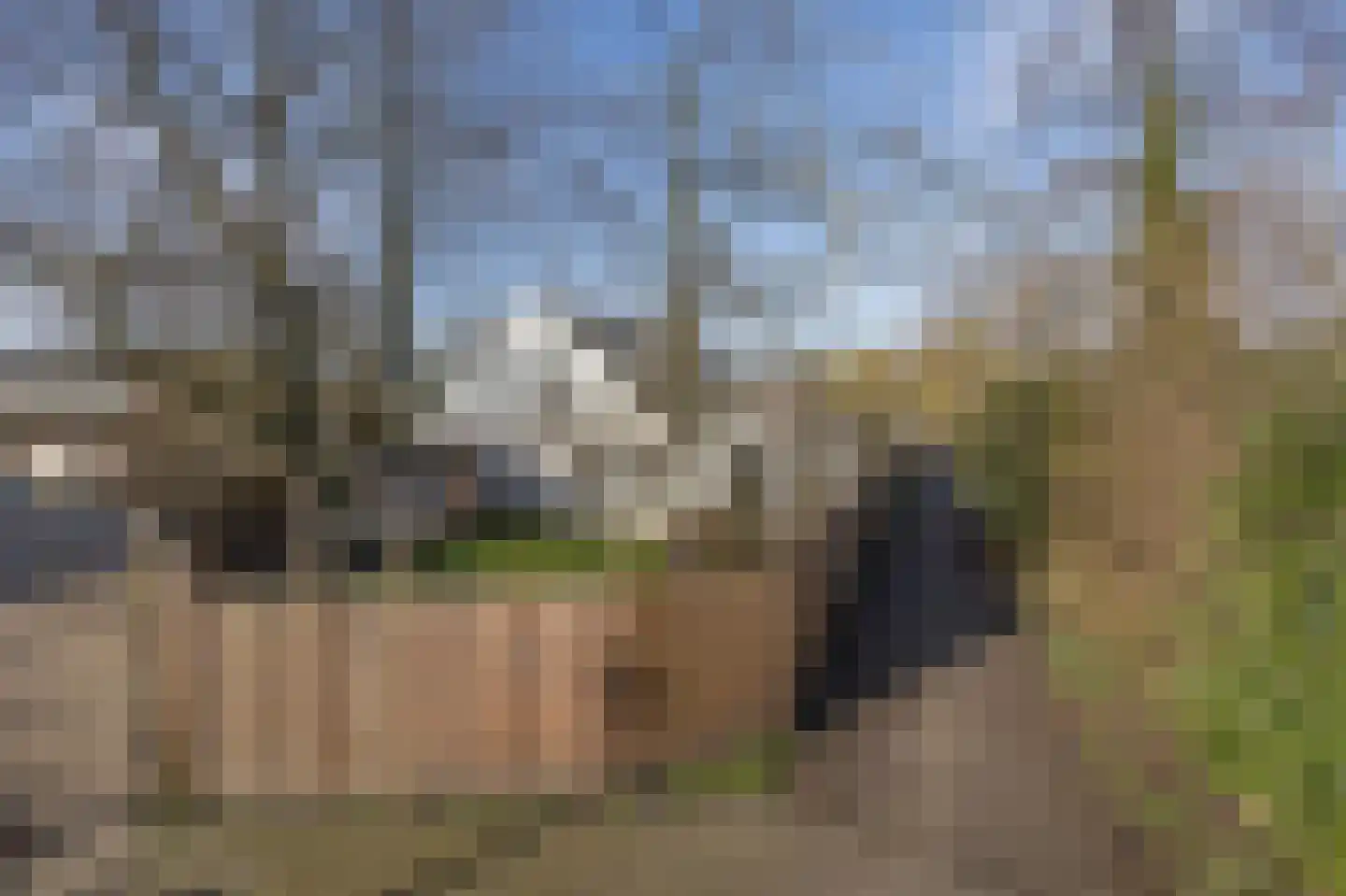 Wandelakker 70 Breda thumbnail 52