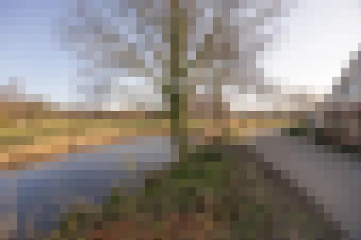 Wandelakker 70 Breda thumbnail 53