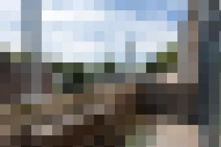 Wandelboslaan 32 a Tilburg thumbnail 22