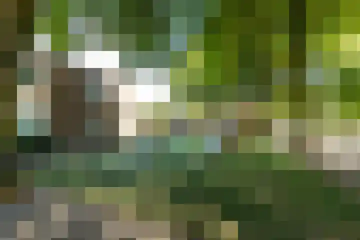 Wandelboslaan 32 a Tilburg thumbnail 26