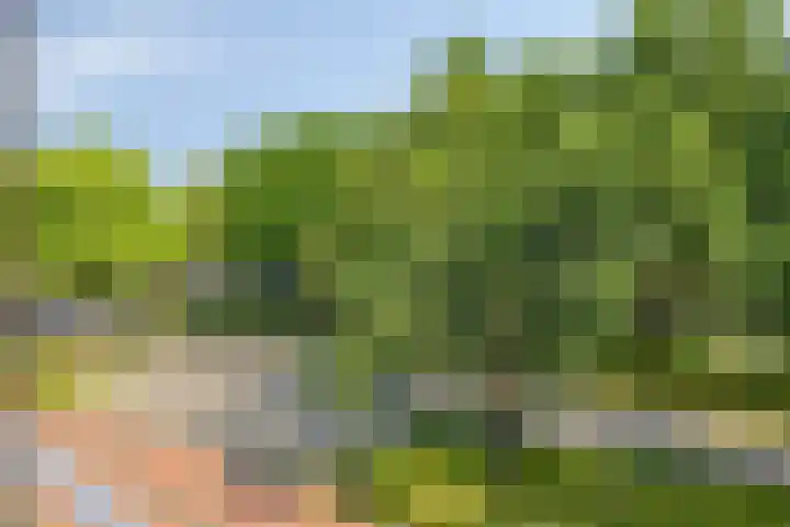 Wandelboslaan 62 Tilburg thumbnail 30