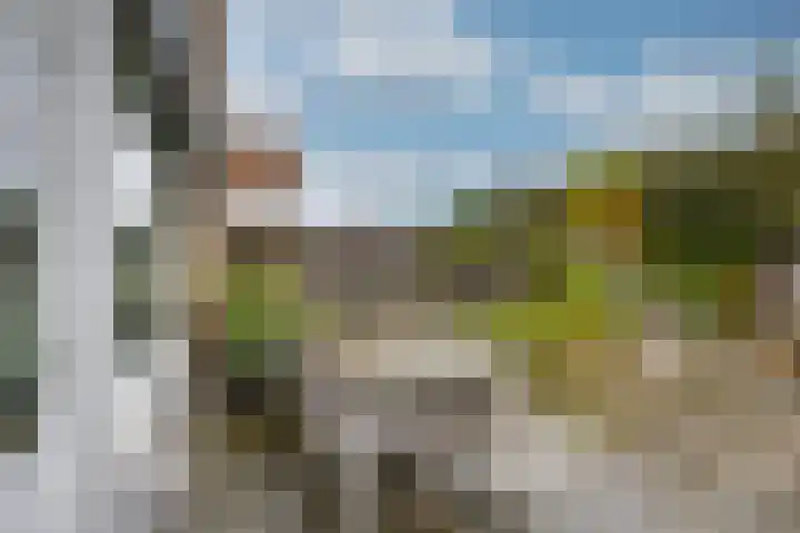 Wandelboslaan 81 Tilburg thumbnail 32
