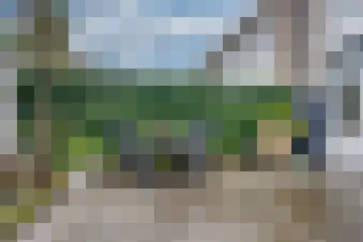 Wandelboslaan 81 Tilburg thumbnail 34