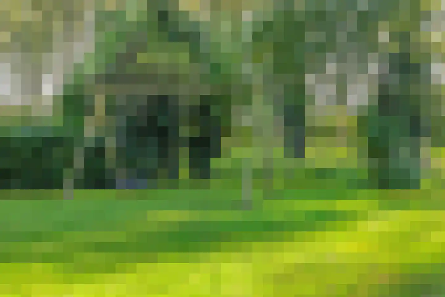 Wandeldreef 12 Aardenburg thumbnail 38