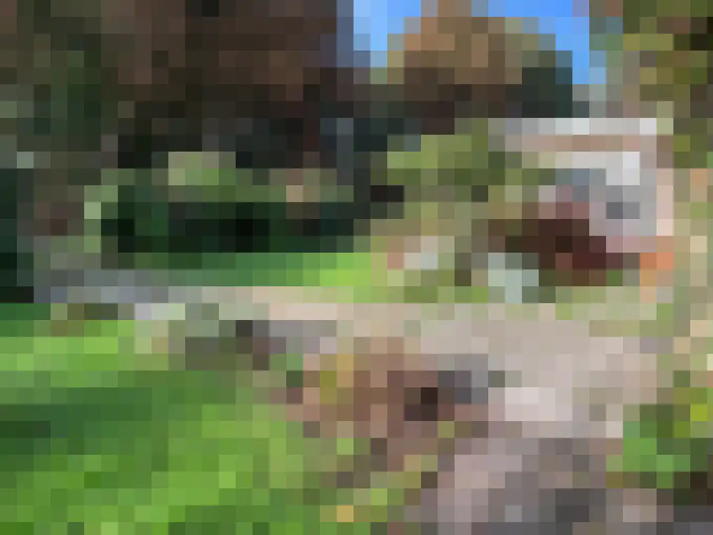 Wandeldreef 3 Aardenburg thumbnail 28