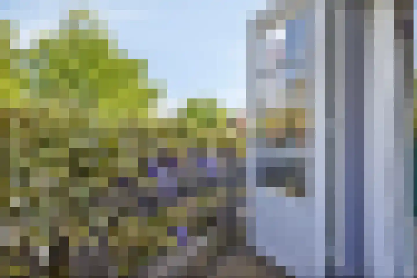 Wandeling 13 Zierikzee thumbnail 23