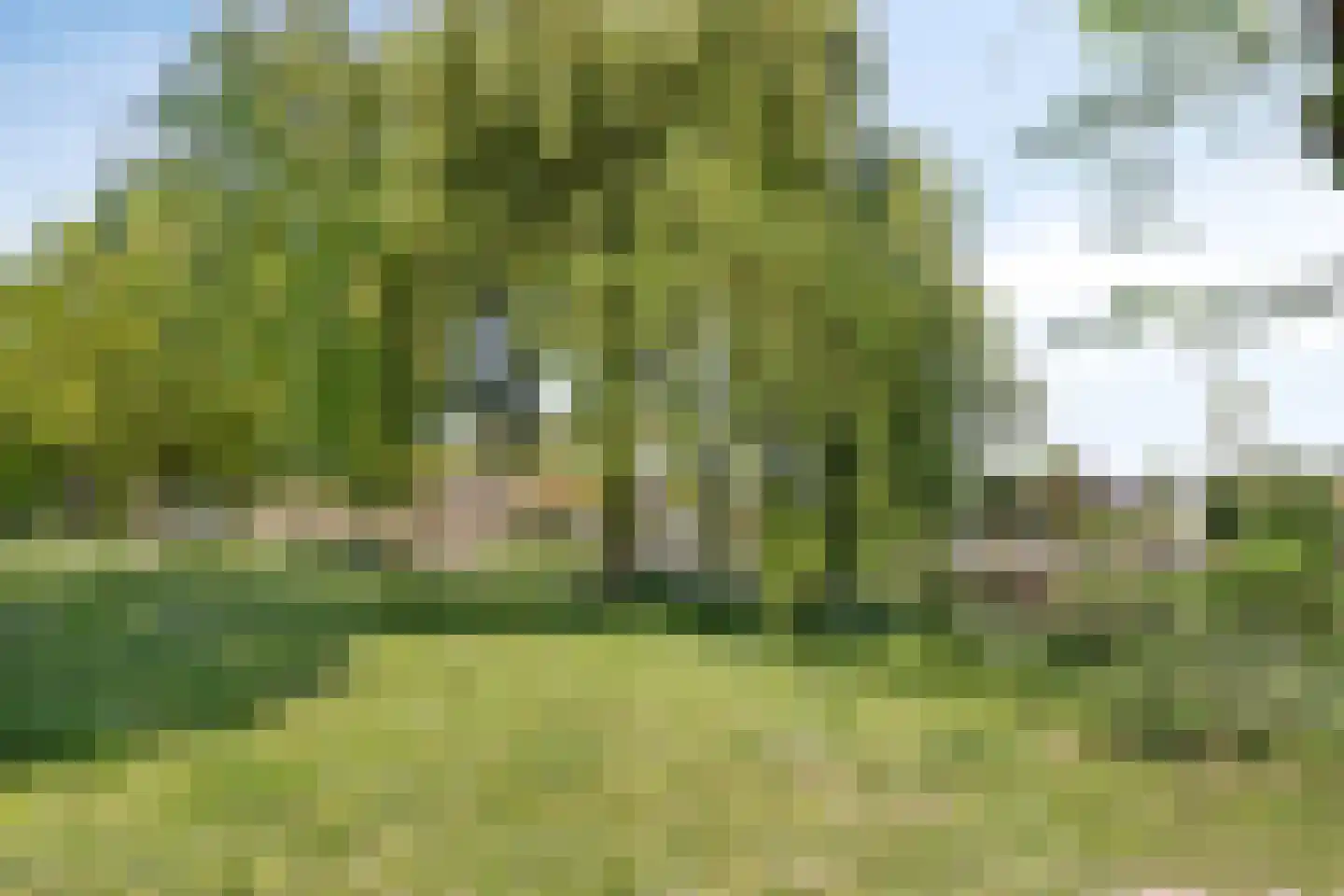 Wandeling 13 Zierikzee thumbnail 38