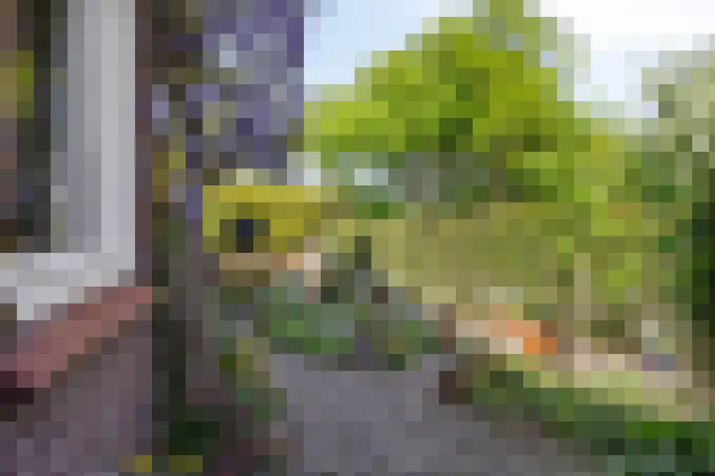 Wandeling 13 Zierikzee thumbnail 6