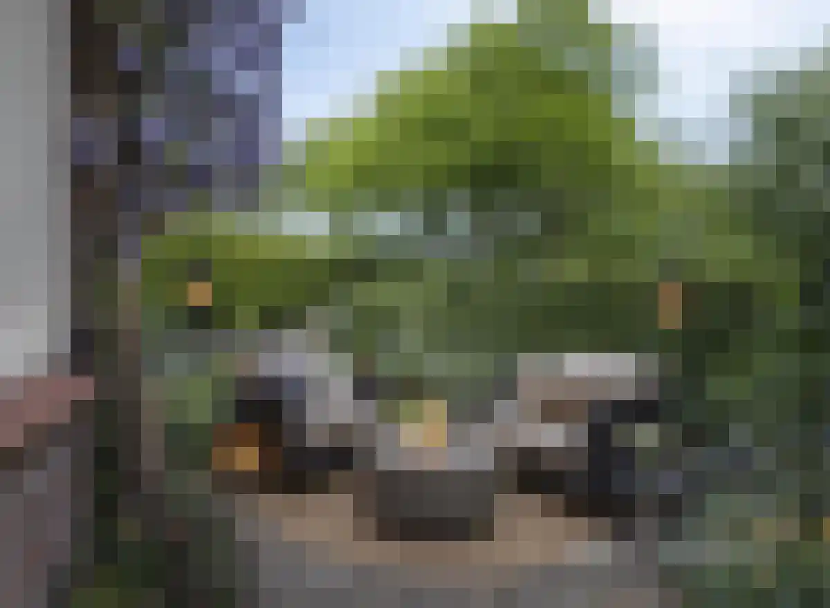 Wandeling 13 Zierikzee thumbnail 7