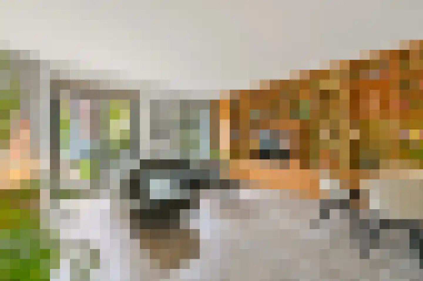 Wandeloordlaan 105 Rotterdam thumbnail 11