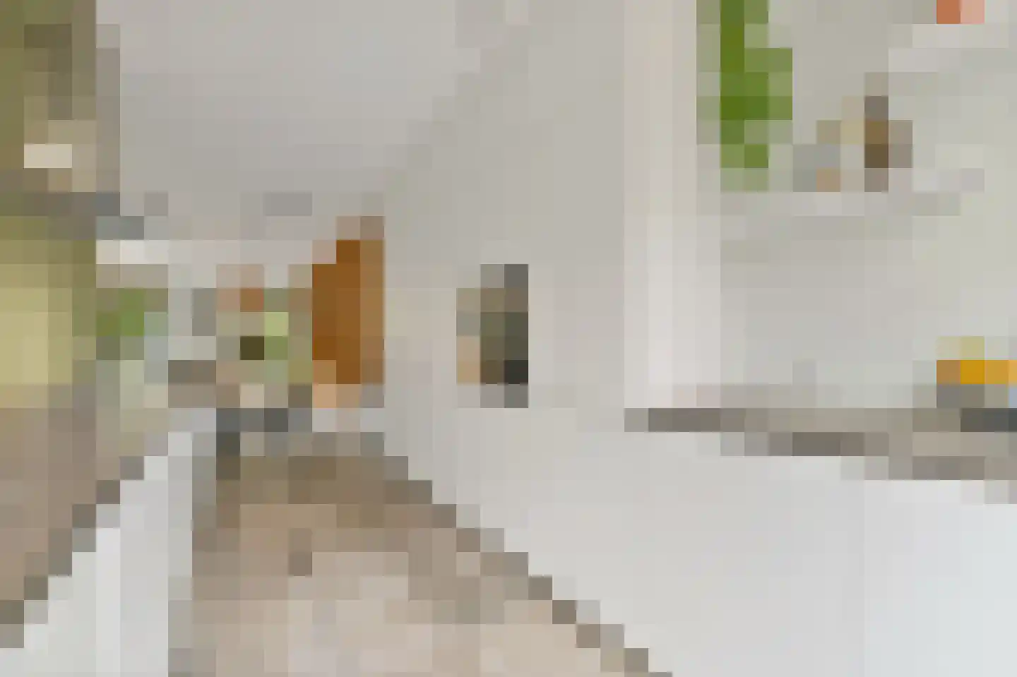 Wandeloordlaan 105 Rotterdam thumbnail 15