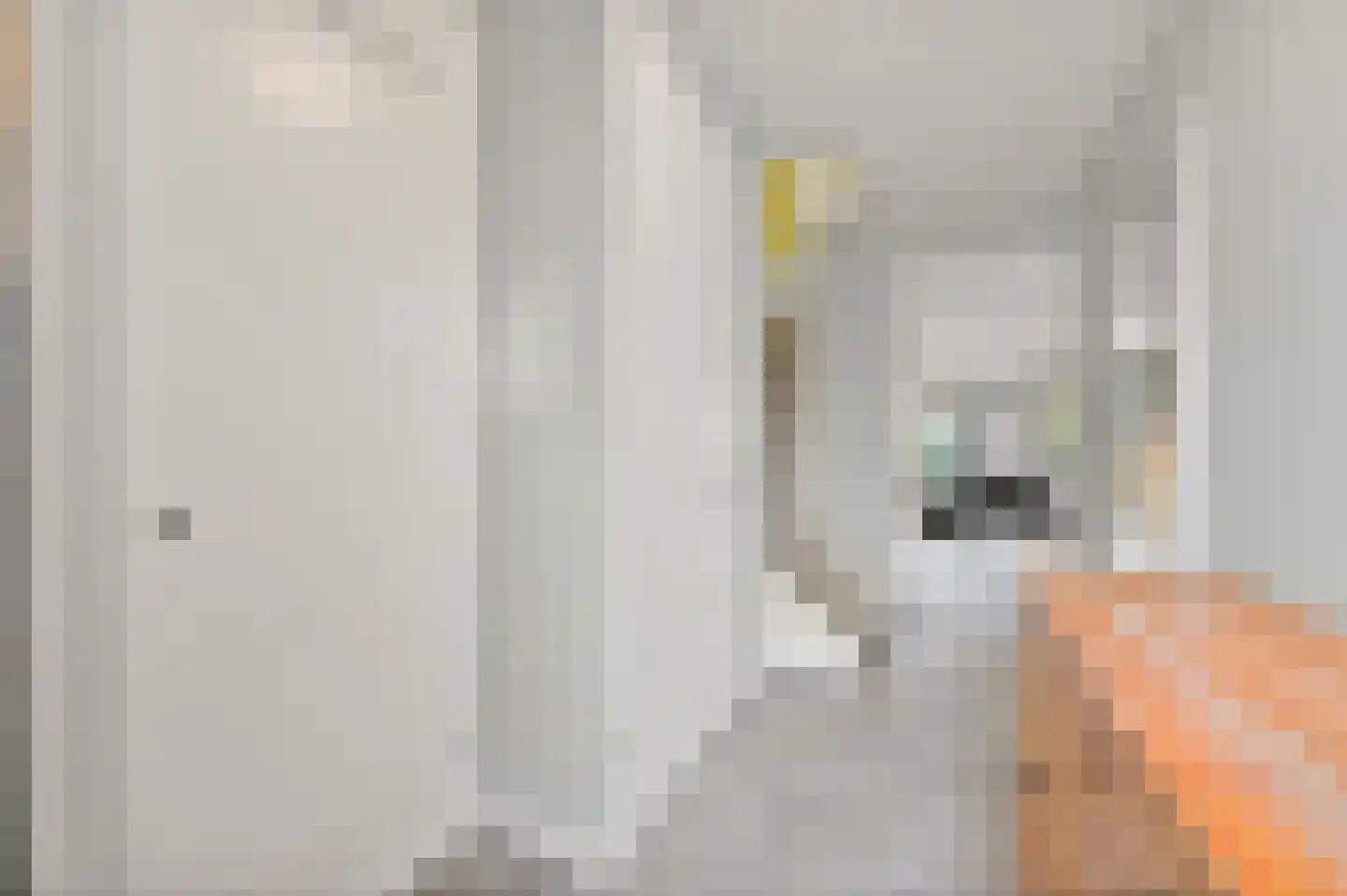Wandeloordlaan 105 Rotterdam thumbnail 21