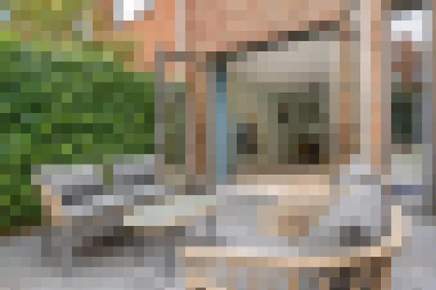 Wandeloordlaan 24 Rotterdam thumbnail 16