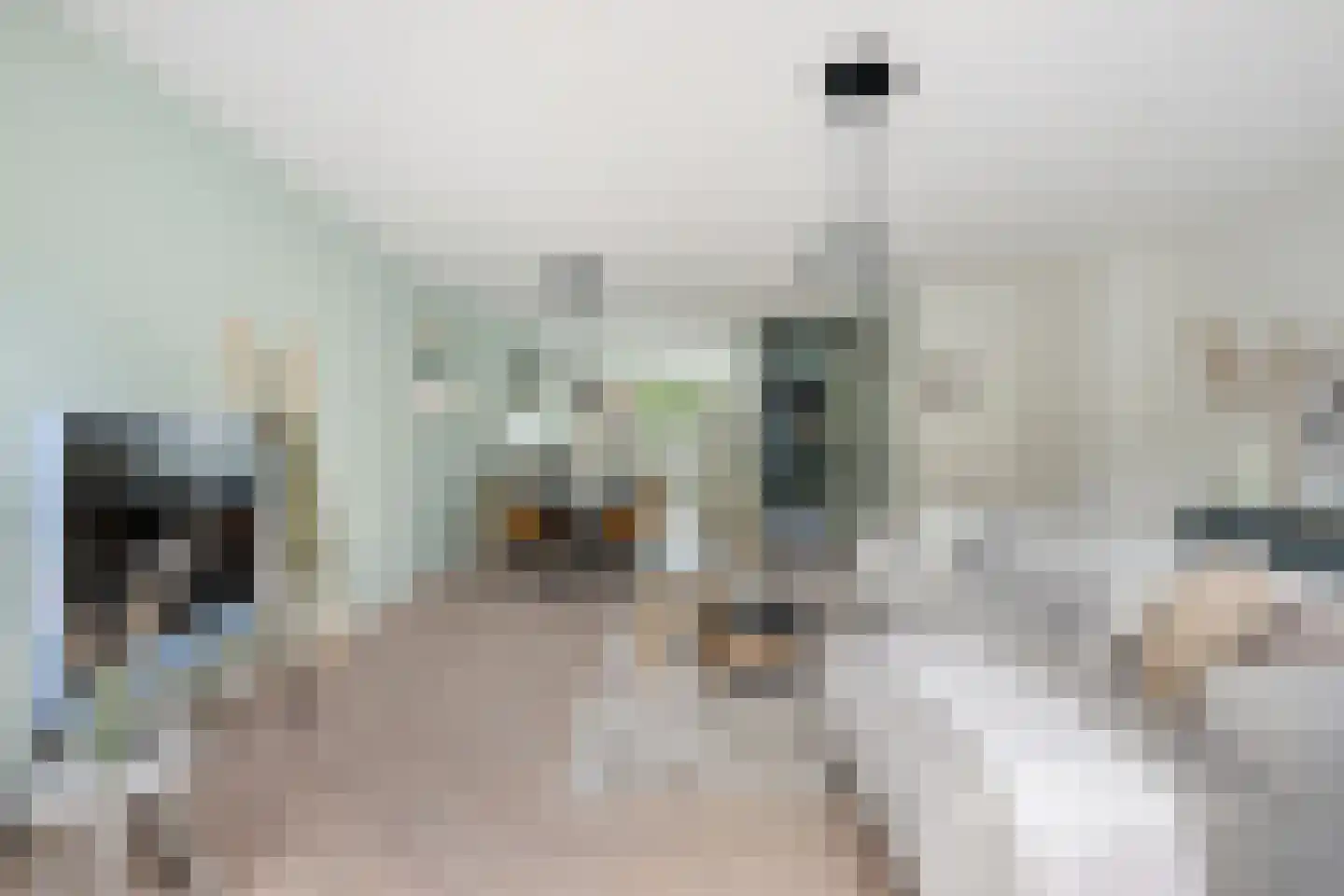 Wandeloordlaan 24 Rotterdam thumbnail 17