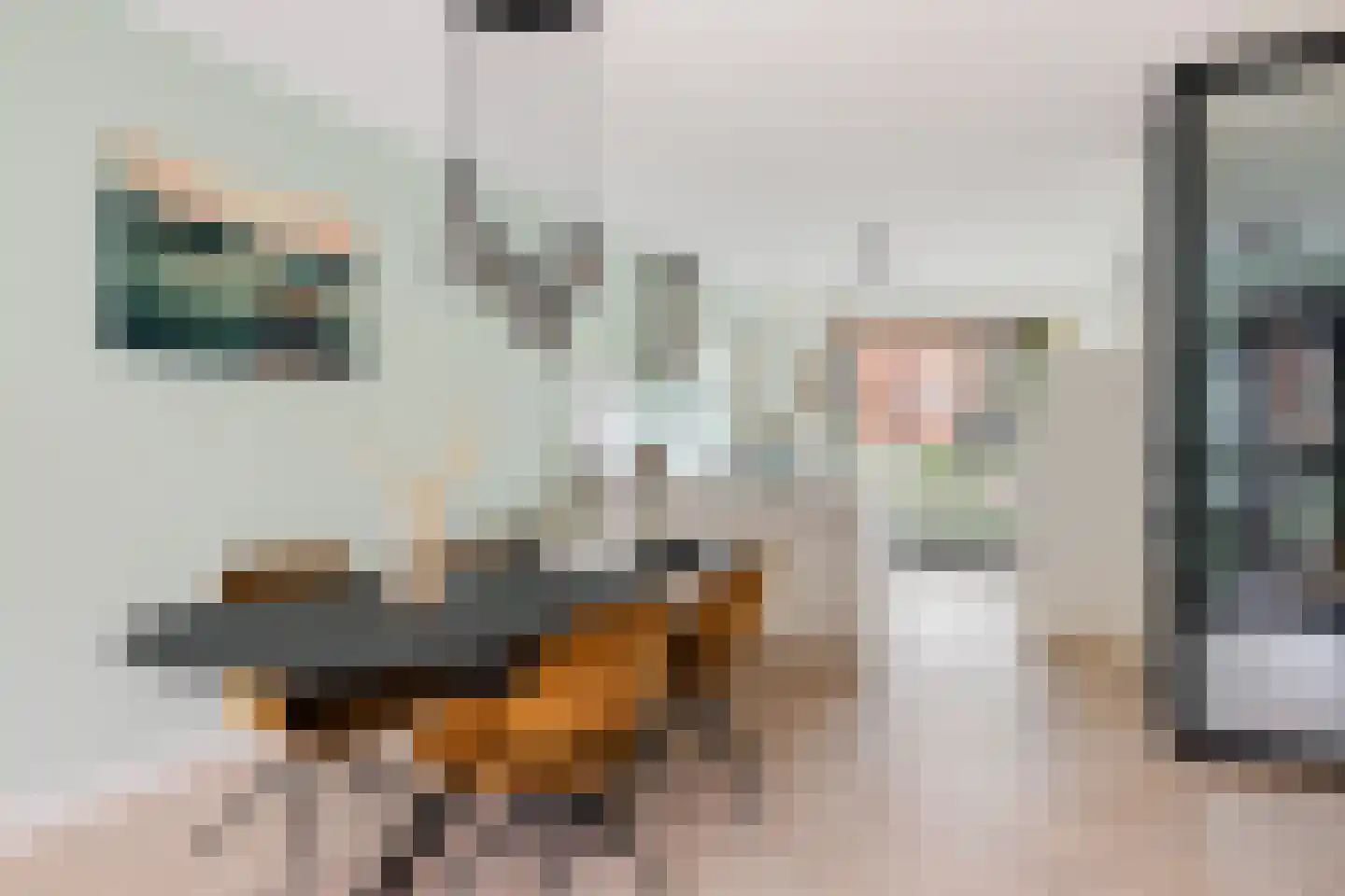 Wandeloordlaan 24 Rotterdam thumbnail 18