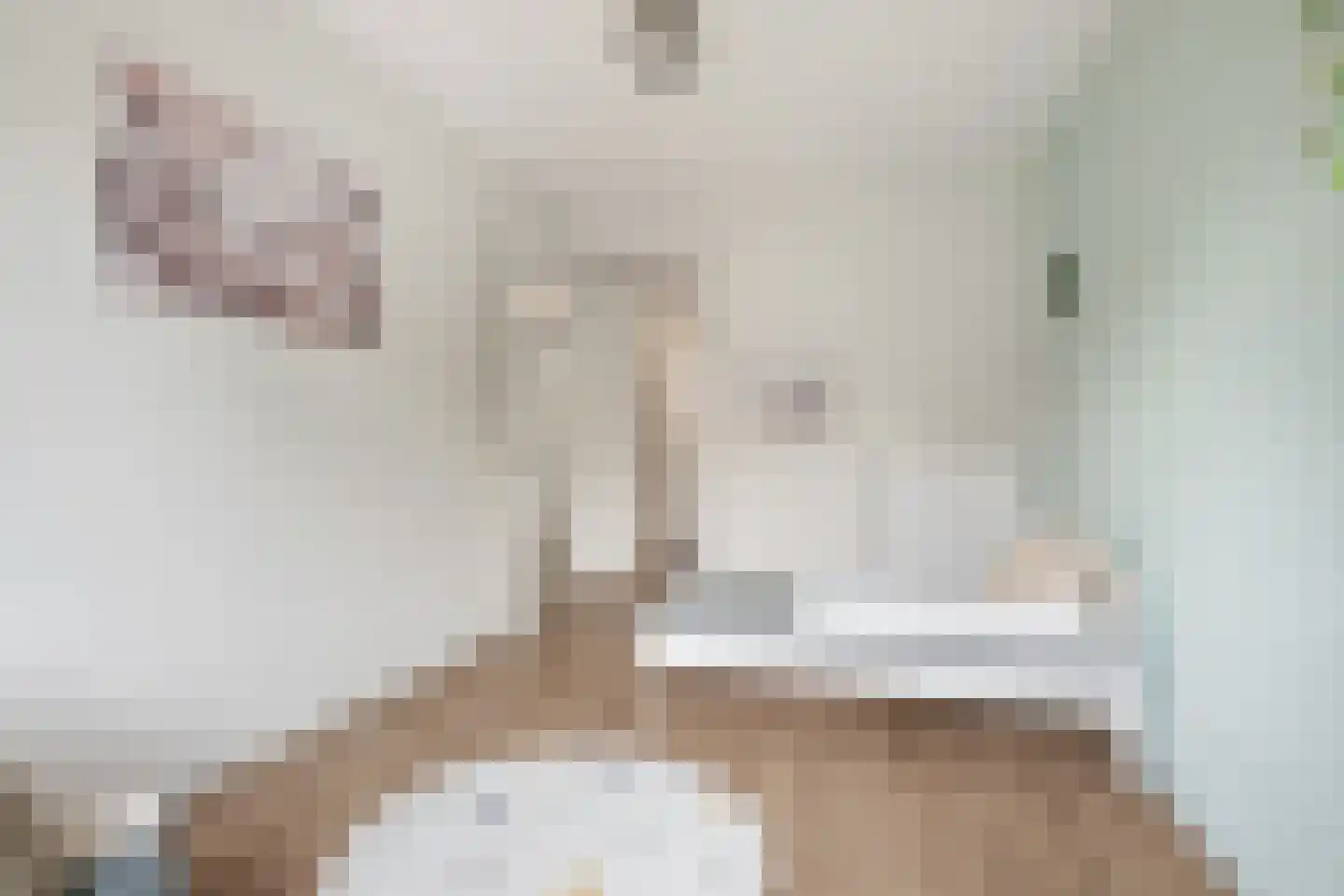 Wandeloordlaan 24 Rotterdam thumbnail 32