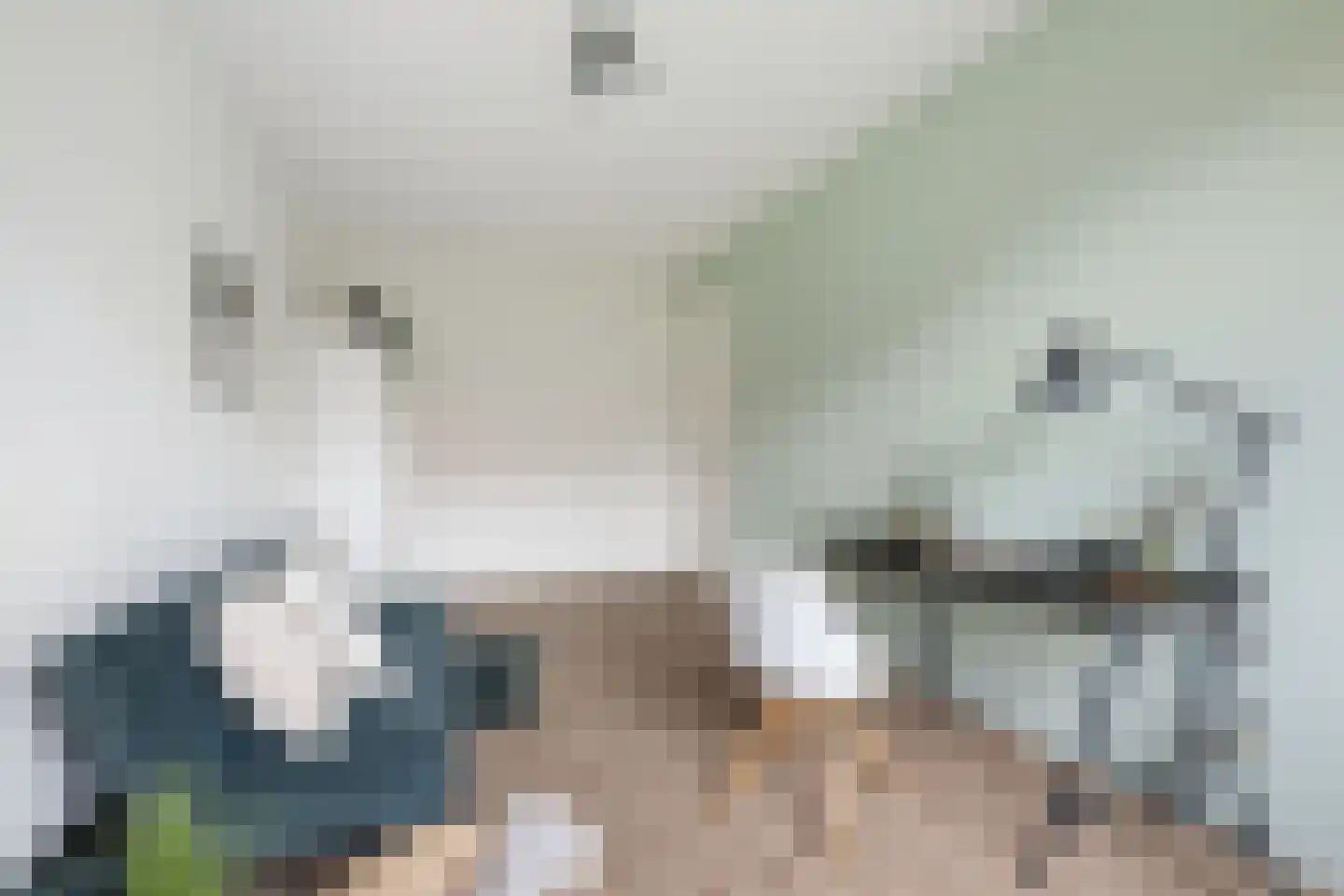 Wandeloordlaan 24 Rotterdam thumbnail 34