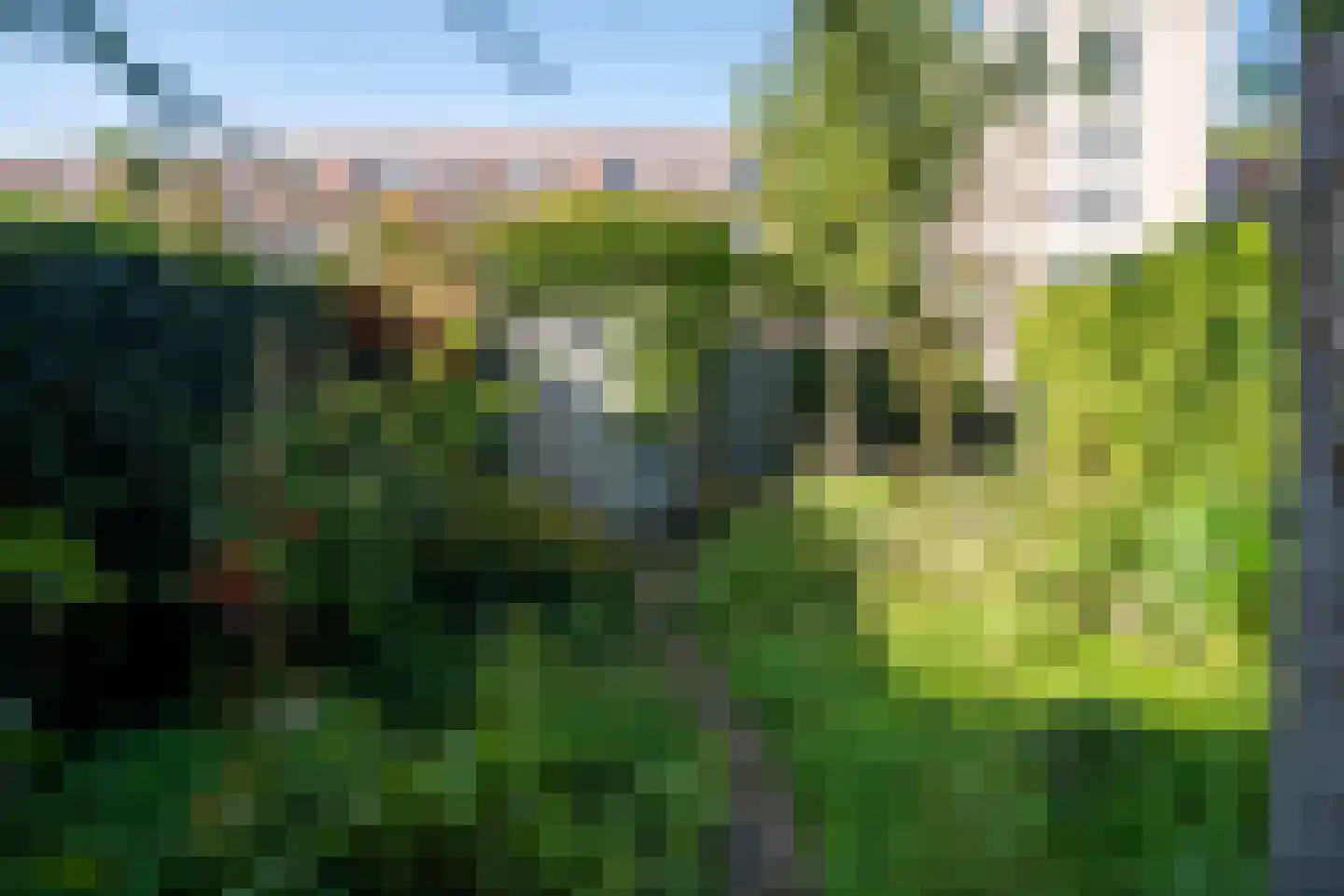Wandeloordlaan 89 Rotterdam thumbnail 9