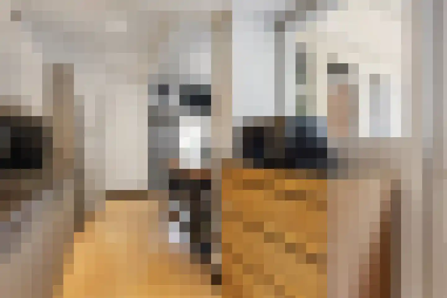 Wandelpad 62 Hilversum thumbnail 15