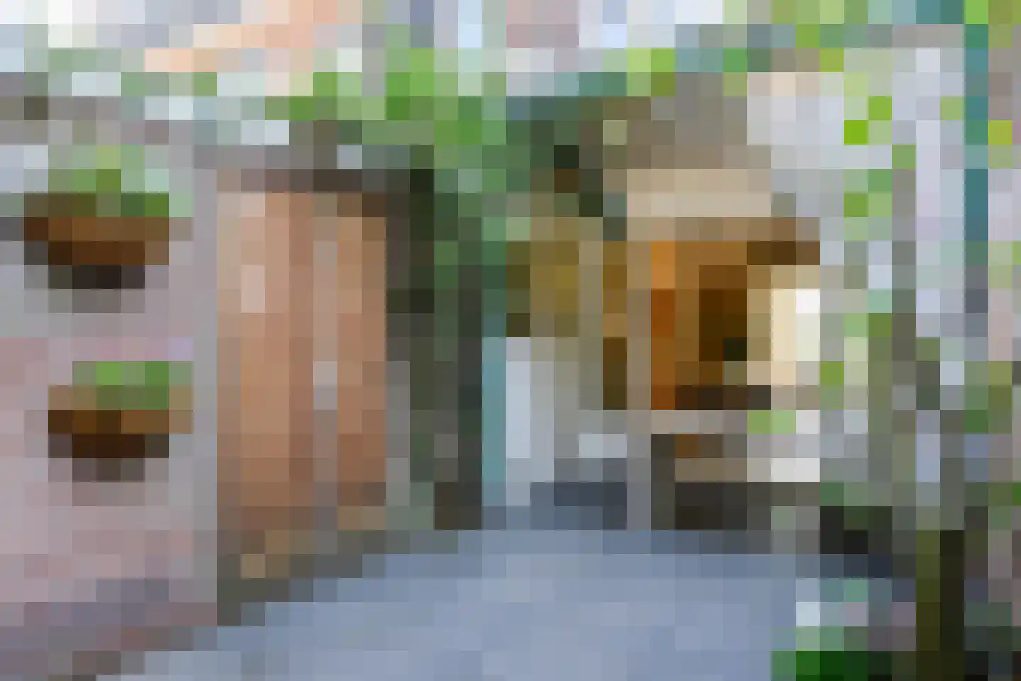 Wandelpad 62 Hilversum thumbnail 26