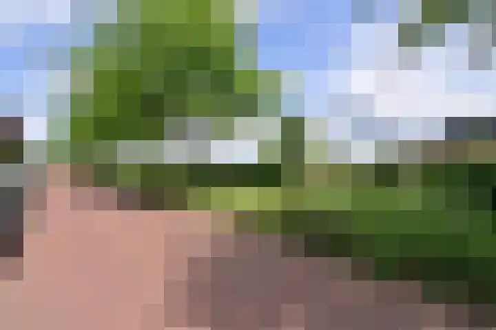 Wandelpad 96 Hilversum thumbnail 20