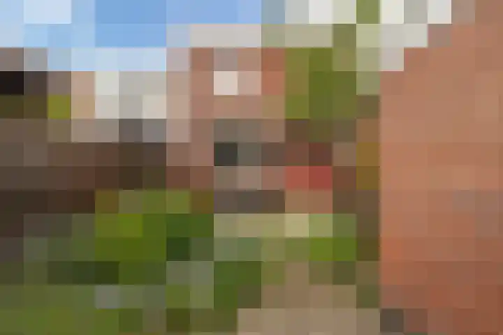 Wandelweg 206 Wormerveer thumbnail 16