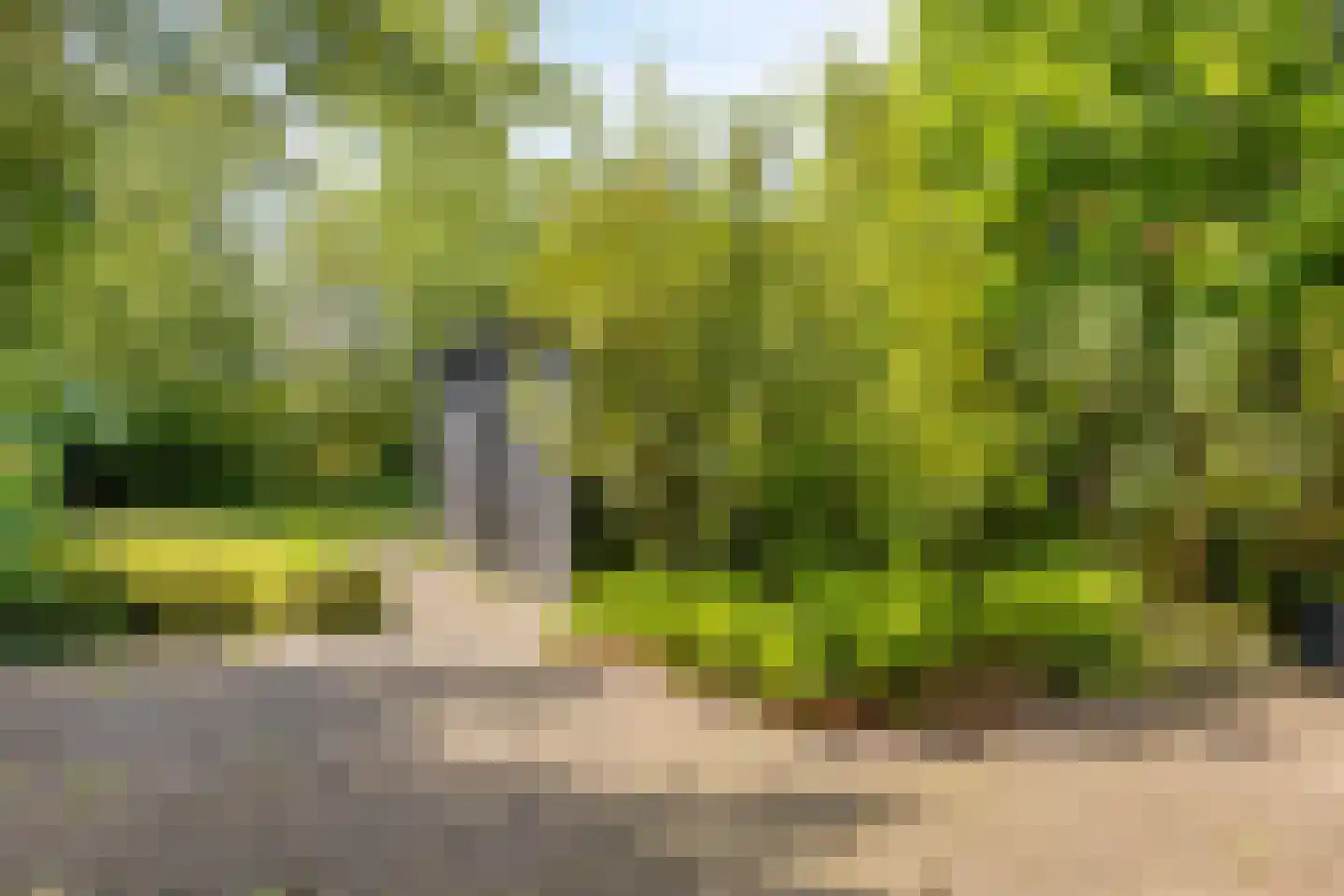 Wandelweg 38 Wormerveer thumbnail 17