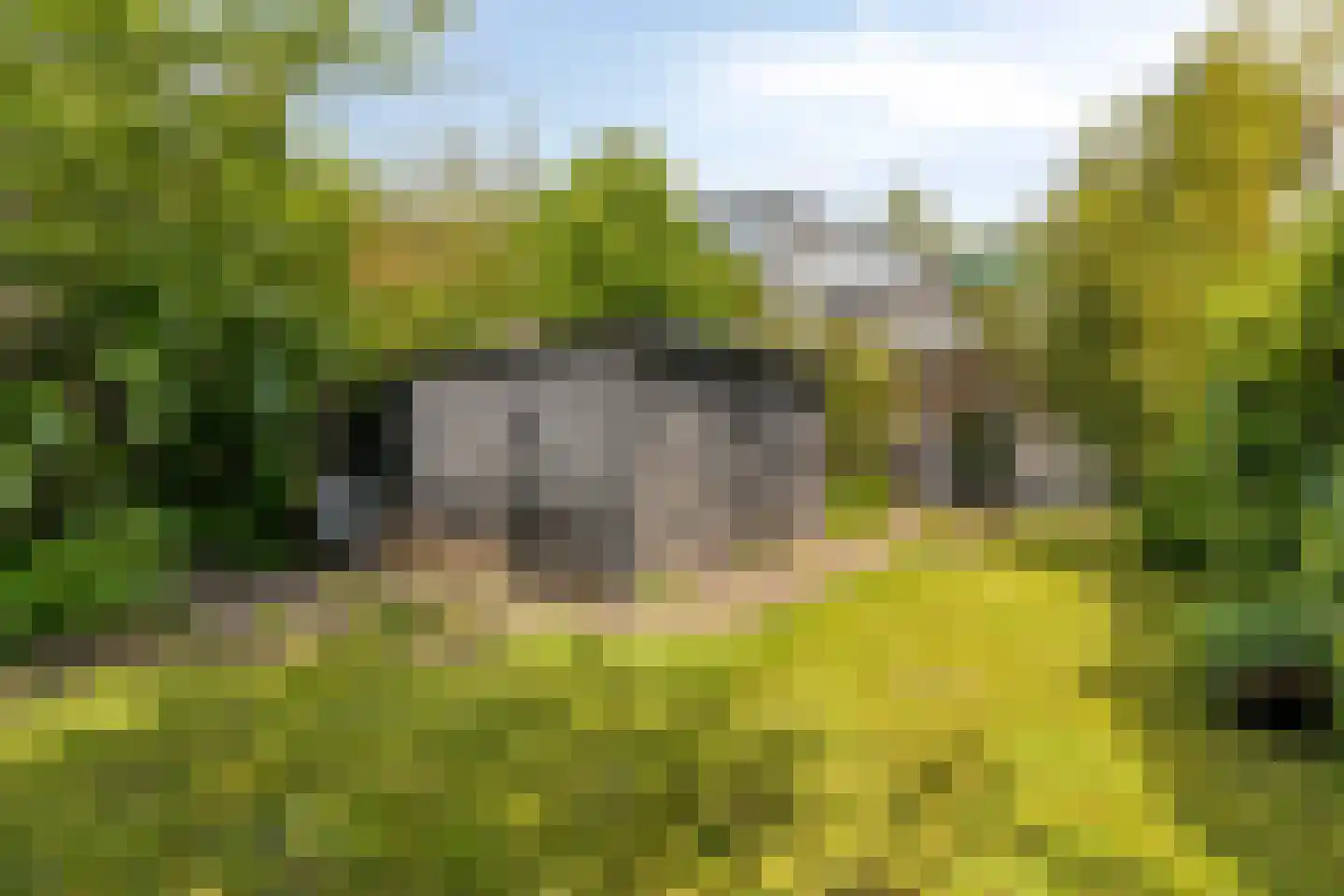 Wandelweg 38 Wormerveer thumbnail 20
