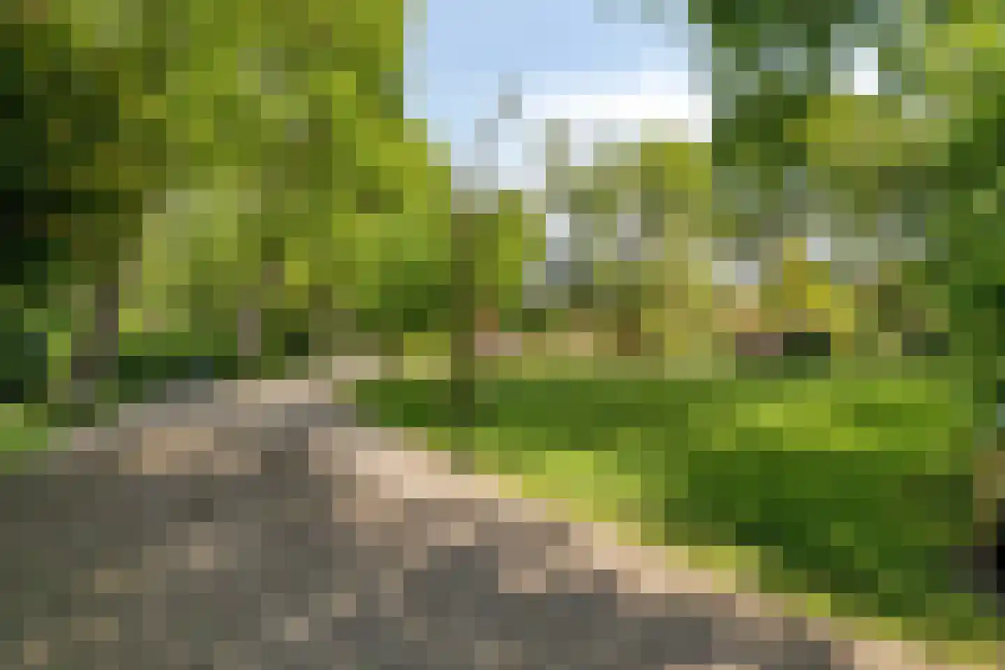 Wandelweg 38 Wormerveer thumbnail 41