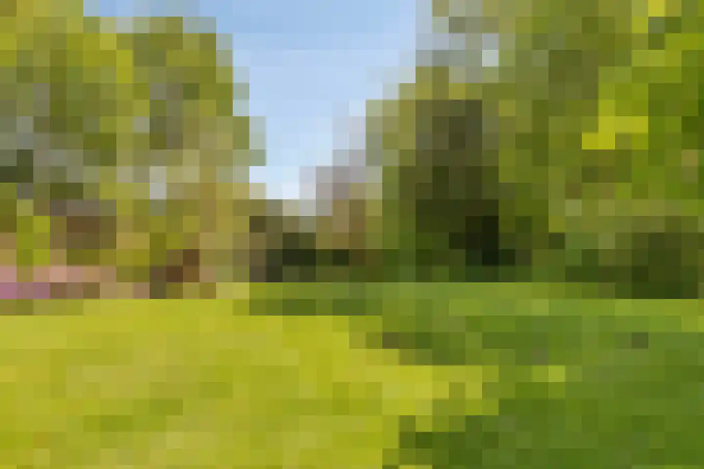 Wandelweg 38 Wormerveer thumbnail 42