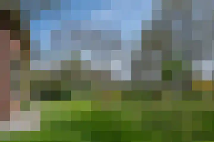 Wandersweg 13 Winterswijk Meddo thumbnail 10