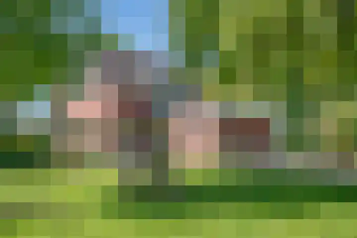 Wandersweg 13 Winterswijk Meddo thumbnail 12