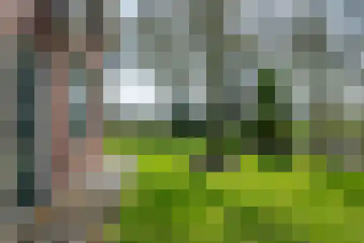 Wandersweg 13 Winterswijk Meddo thumbnail 17