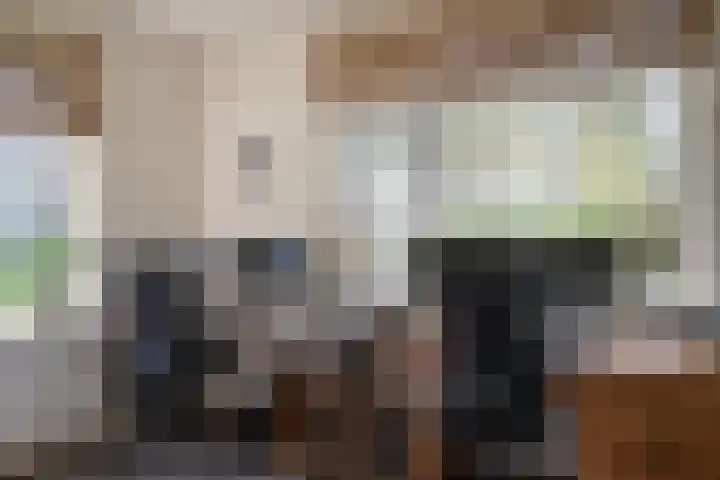 Wandersweg 13 Winterswijk Meddo thumbnail 25