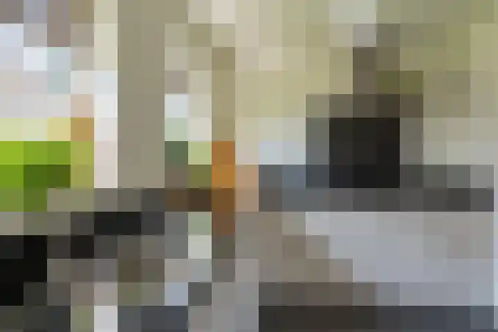 Wandersweg 13 Winterswijk Meddo thumbnail 33