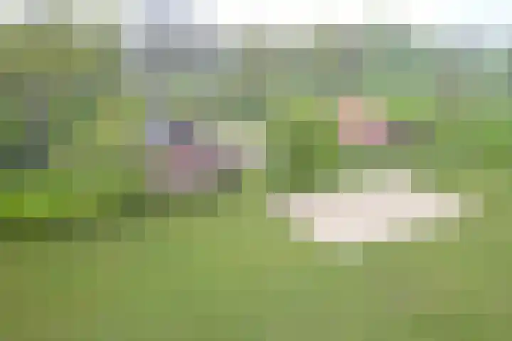 Wandersweg 13 Winterswijk Meddo thumbnail 4