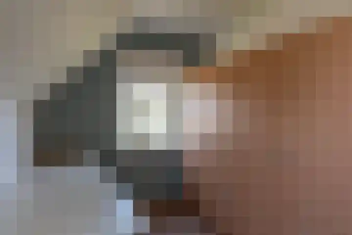 Wandersweg 13 Winterswijk Meddo thumbnail 45