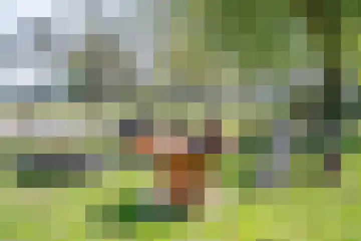 Wandersweg 13 Winterswijk Meddo thumbnail 49