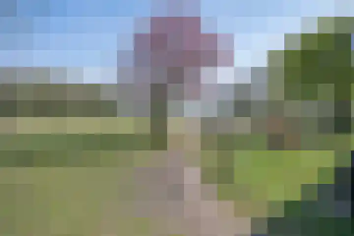 Wandersweg 13 Winterswijk Meddo thumbnail 50